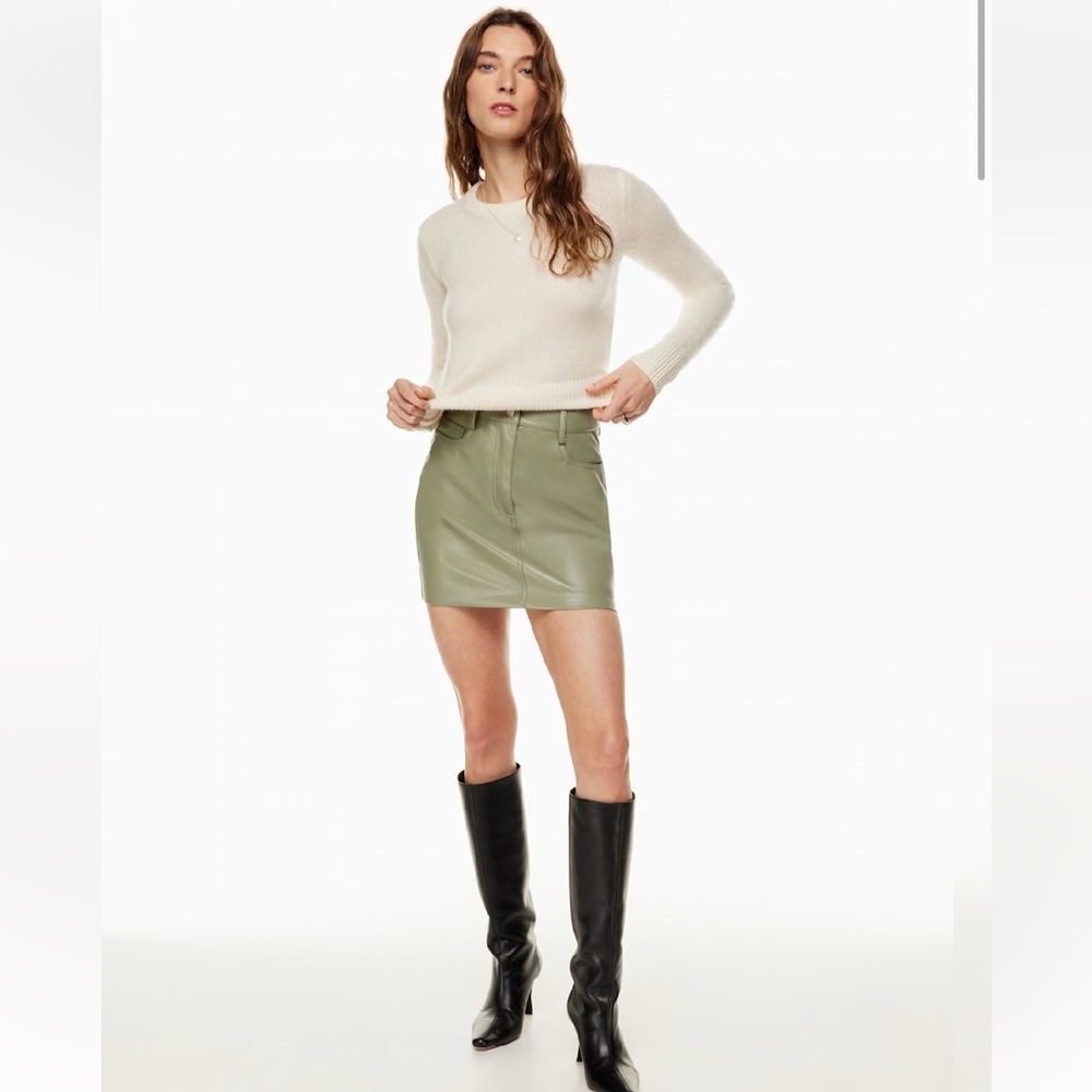 Aritzia Chemistry Skirt